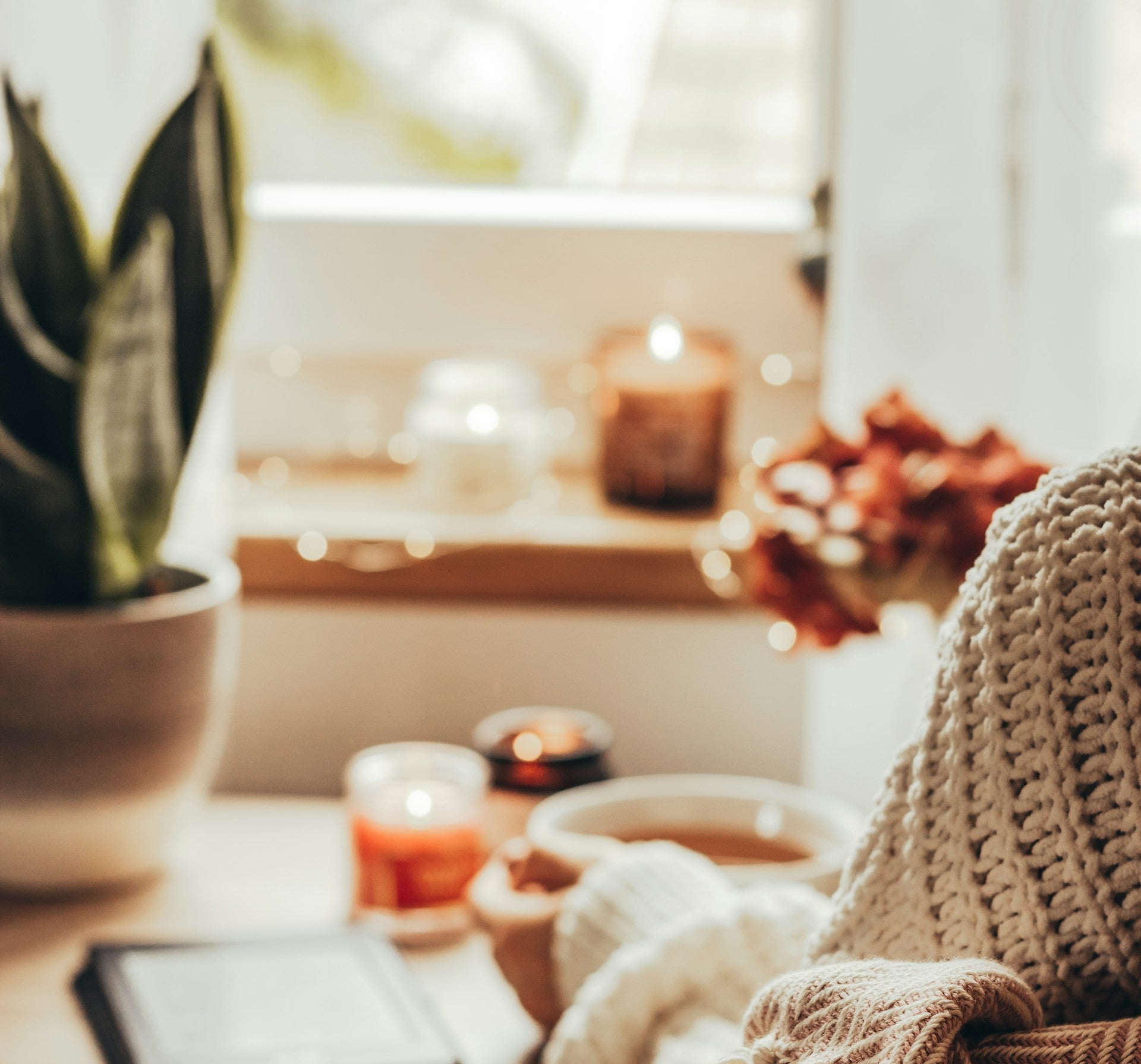 10 Cozy Hobbies for Women Who Need a Break From Stress